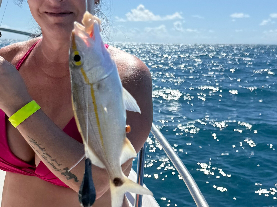 Sugar Island Tours-Jolly Harbour必去景点