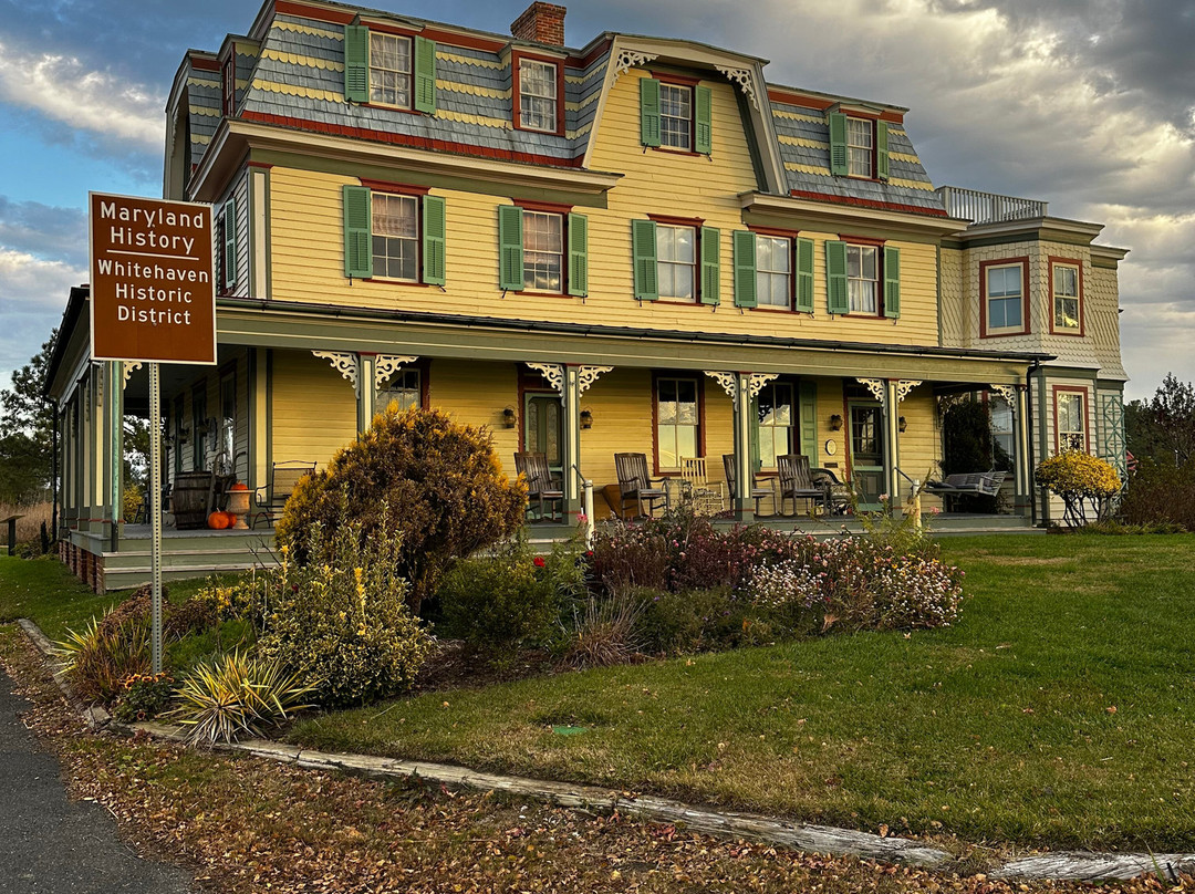 Whitehaven Hotel主图