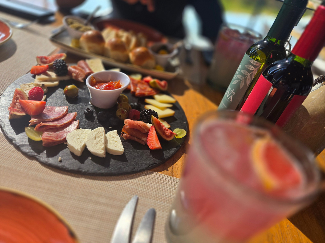 Vinedos San Francisco主图