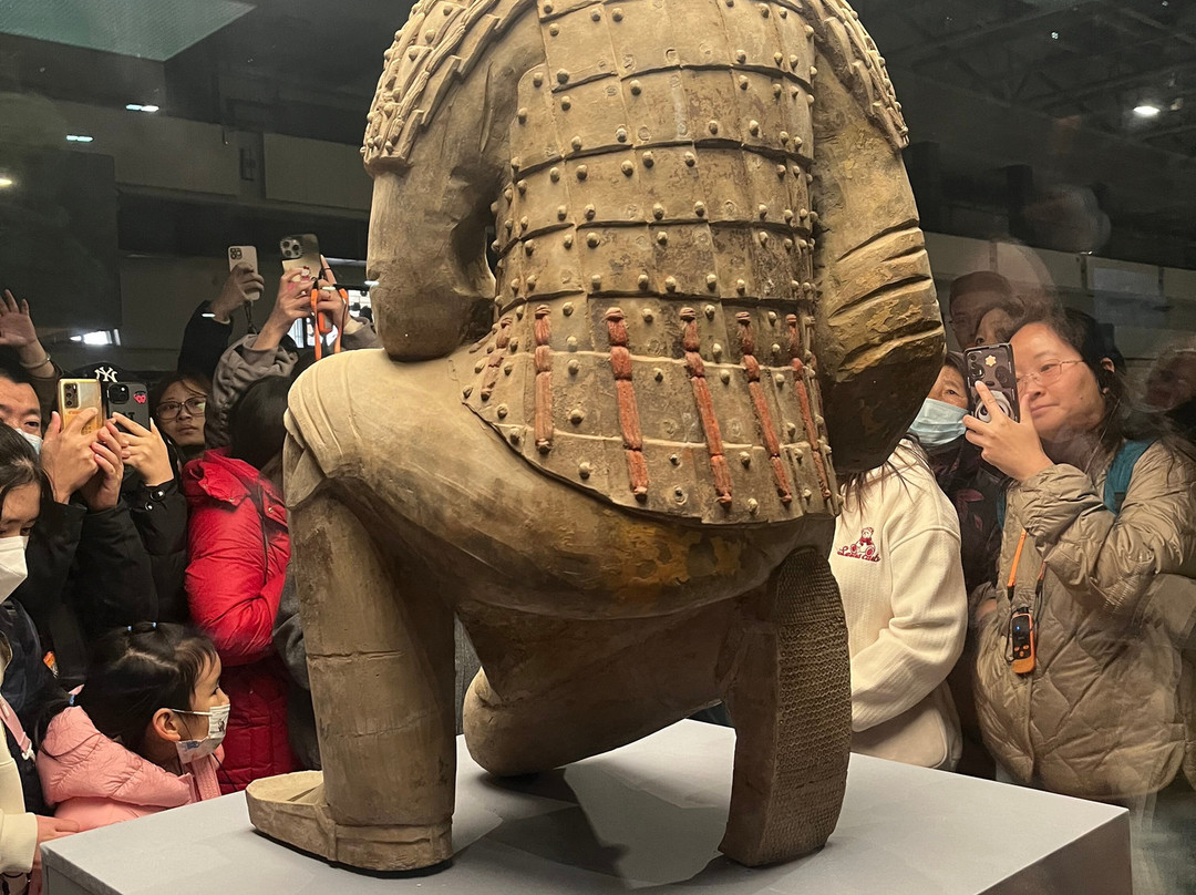 Mary’s Xian Tours-西安市必去景点