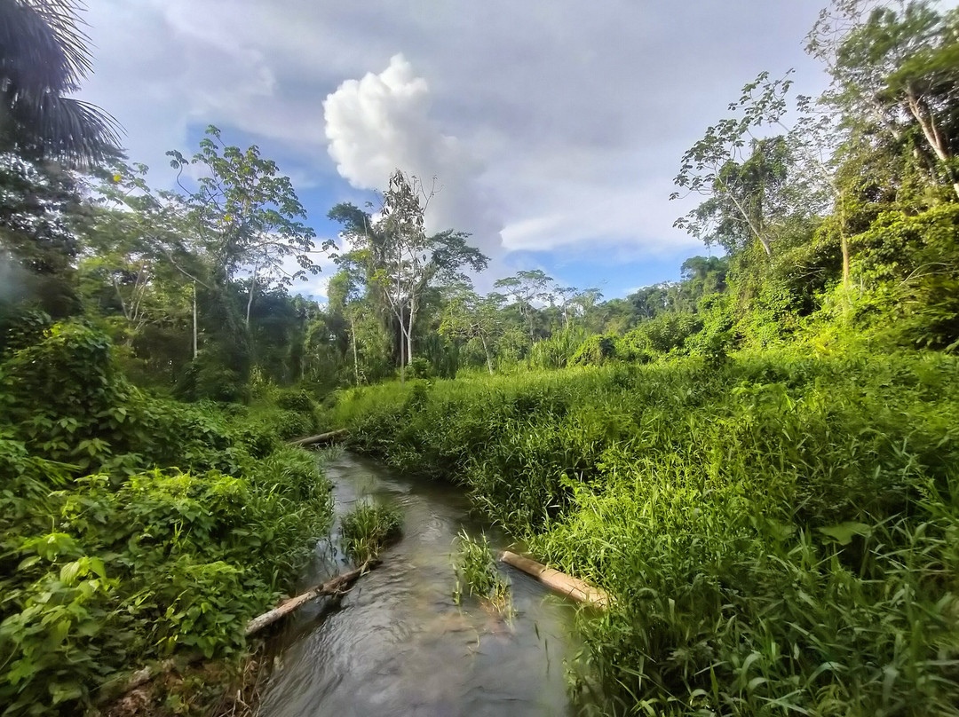 Peru Amazon Expeditions-Manu必去景点