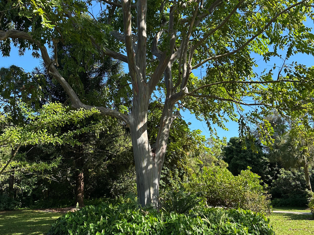 Deerfield Beach Arboretum-迪尔菲尔德比奇必去景点