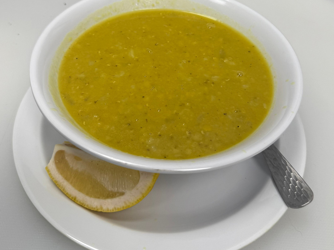 The rush Mediterranean grill