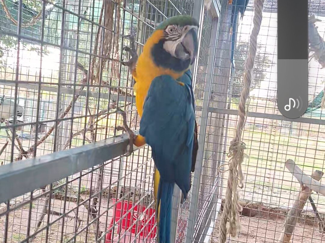 Quinta Fotoplanet Farm-阿尔布赞拉必去景点