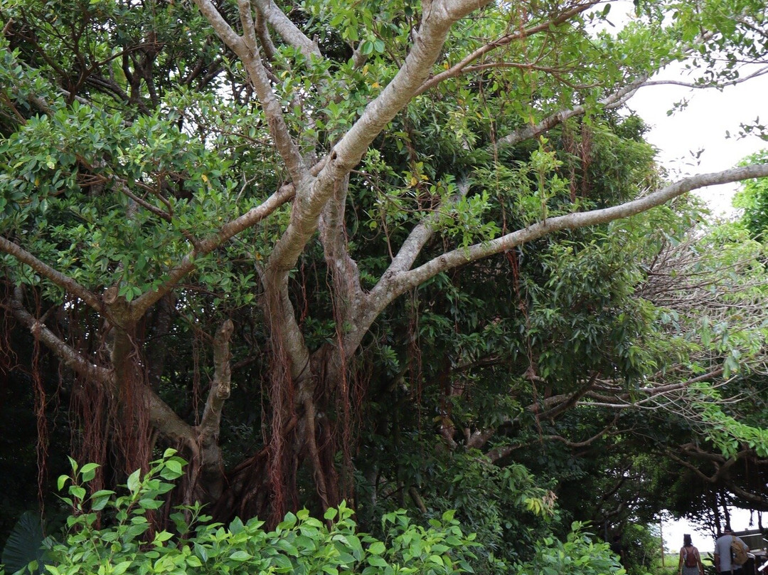 首里城-那霸市必去景点