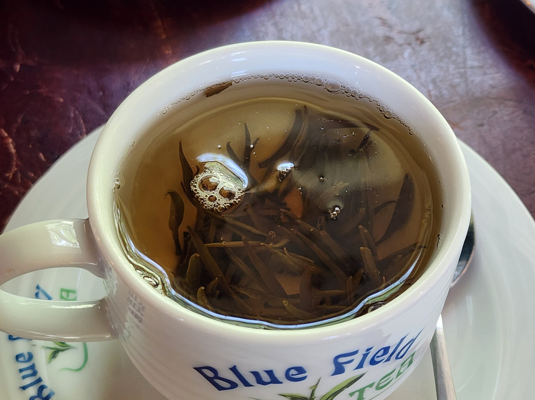 TS ruban travel router-Nanu Oya必去景点