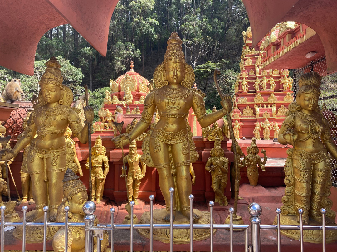 Ds Kumar Tuktuk Sightseeing In Nuwara Eliya-奴娃拉伊利雅必去景点
