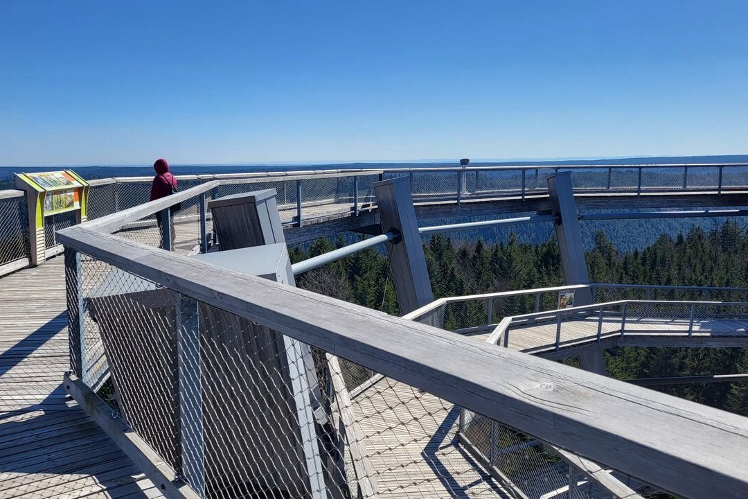 Baumwipfelpfad Schwarzwald-Bad Wildbad必去景点