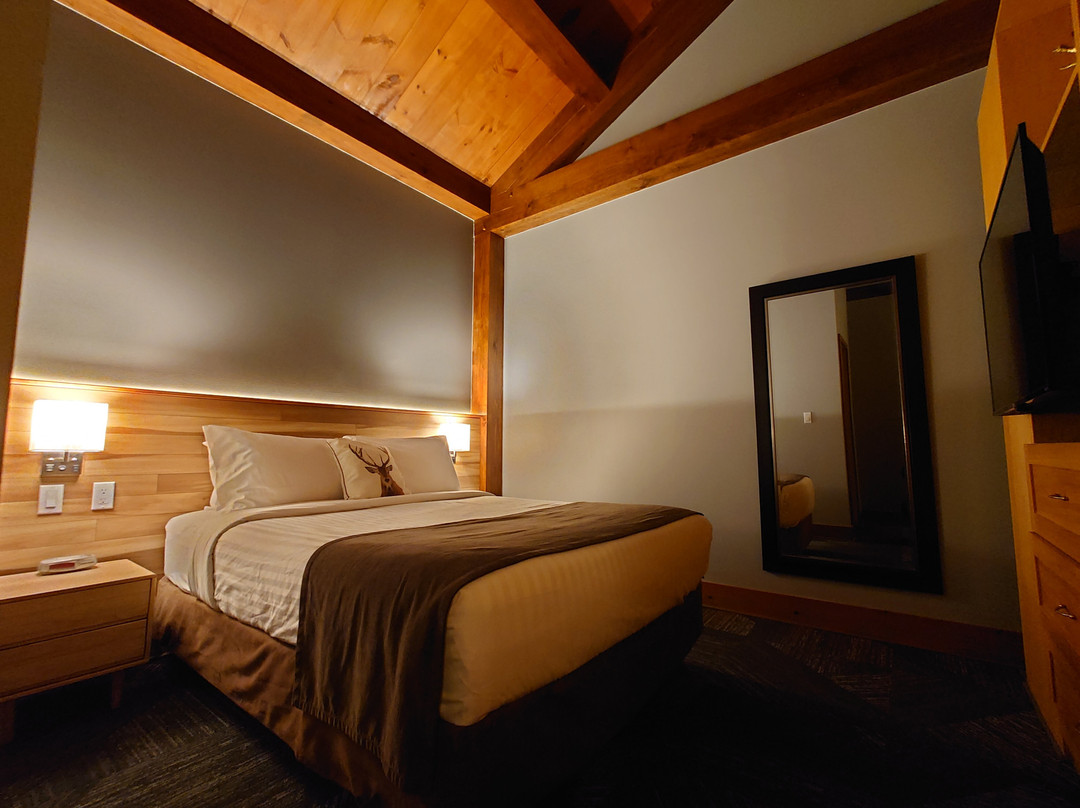 Timberland Inn主图