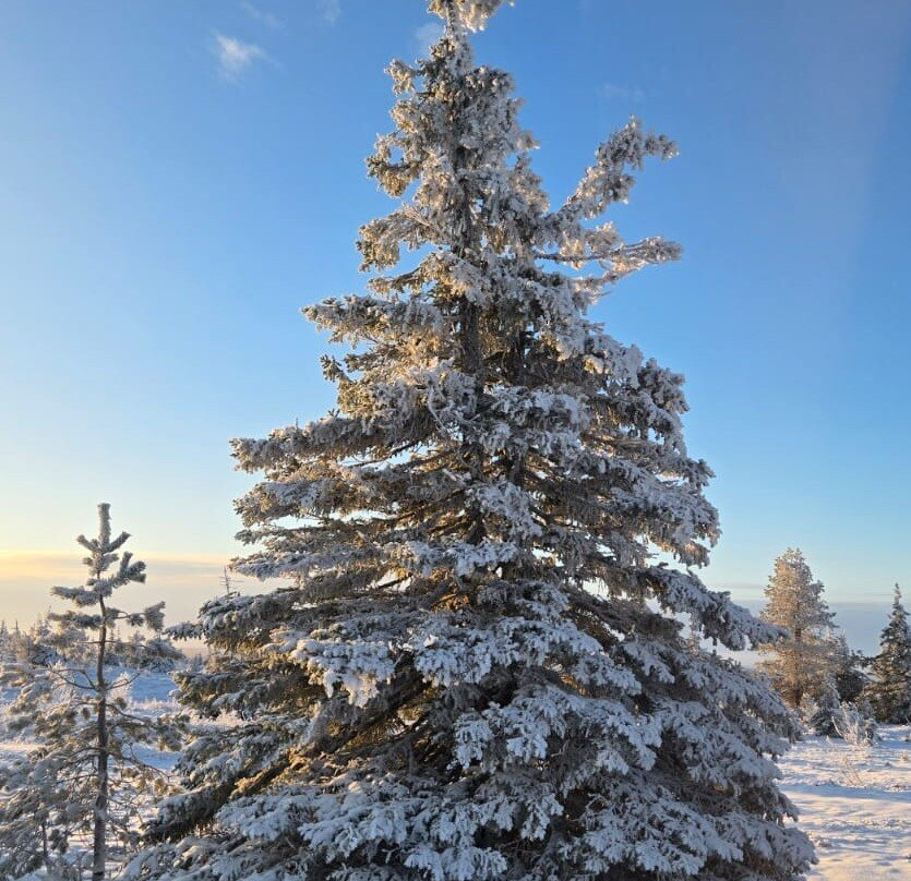 Nordic Unique Travels-罗瓦涅米必去景点