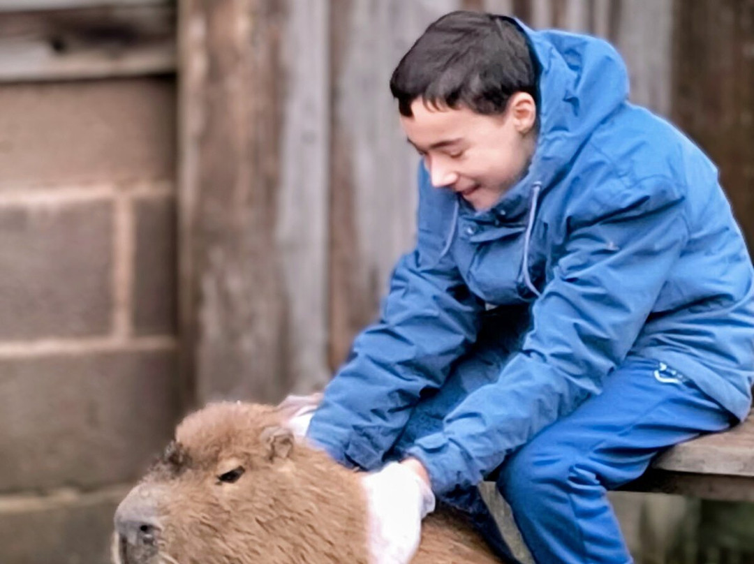 Wild Discovery-普雷斯顿必去景点