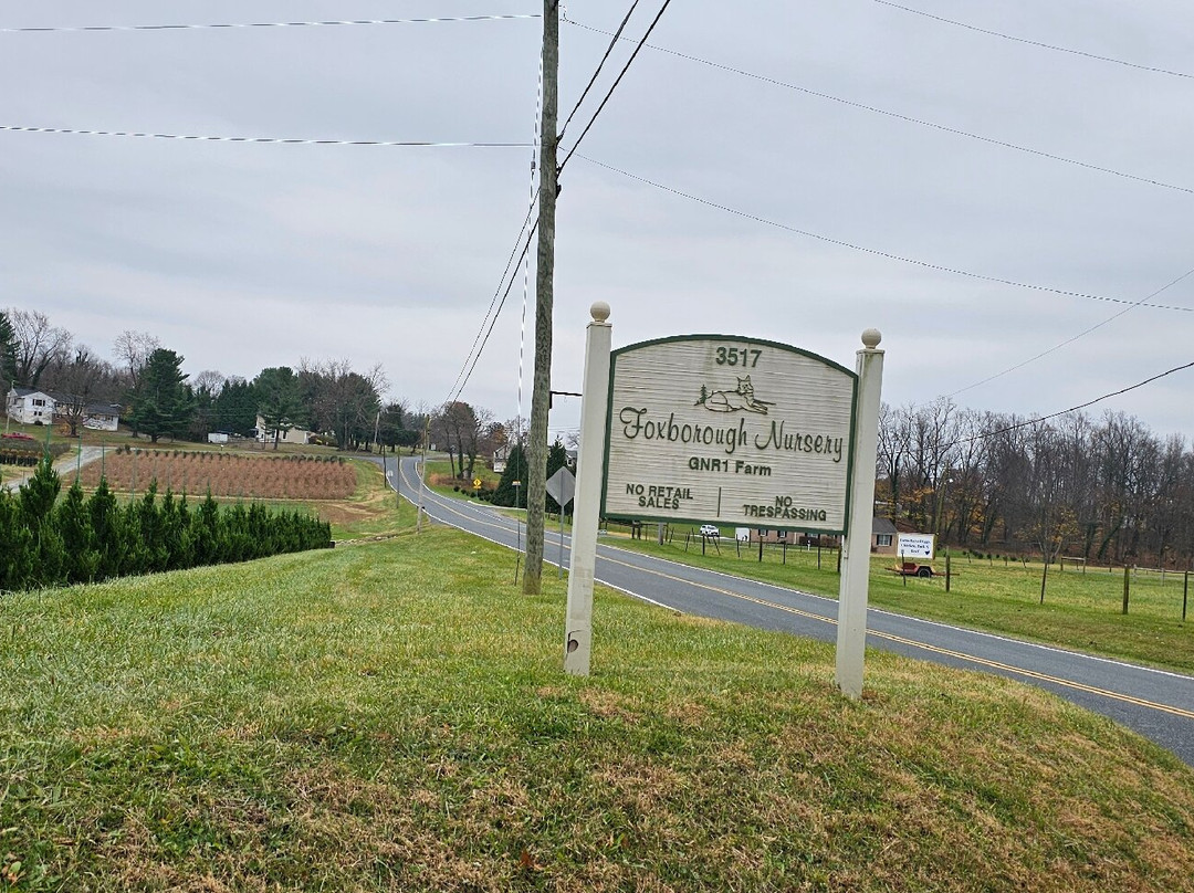Foxborough Nursery-Street必去景点
