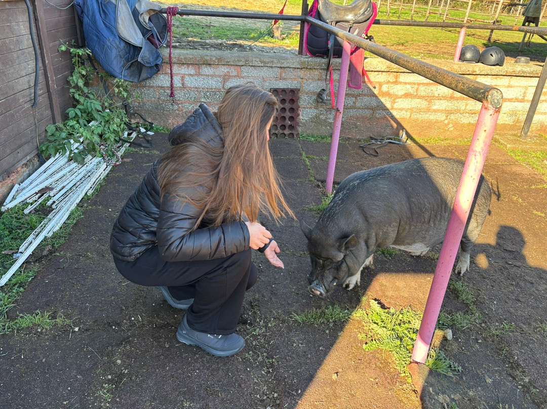 The Fairy Ranch-Rocca di Papa必去景点