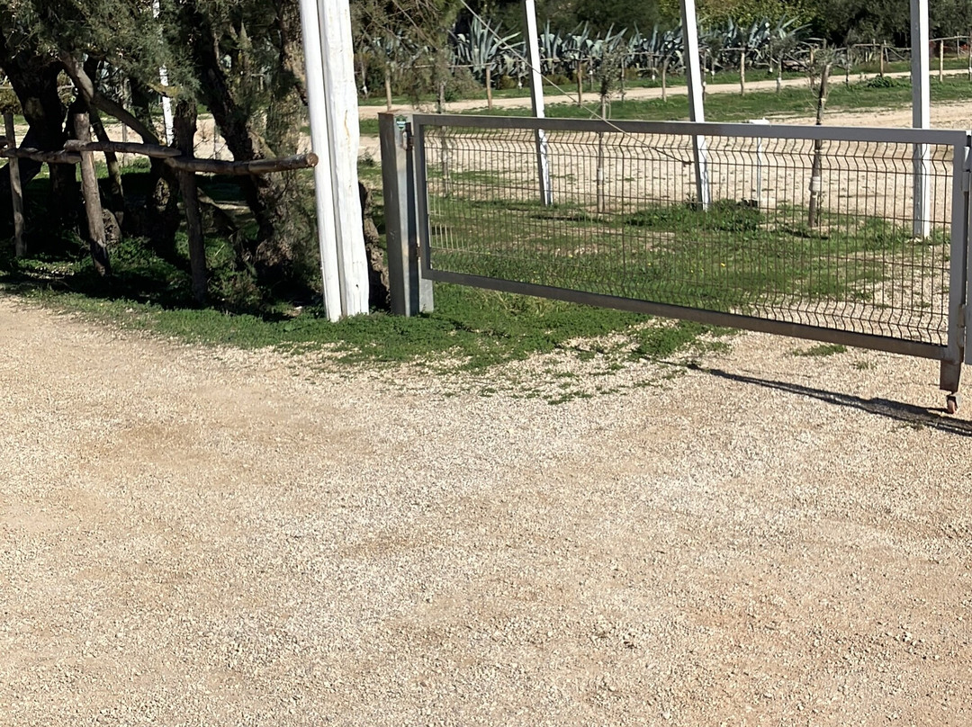 Torre Guaceto Boa Gialla-Carovigno必去景点