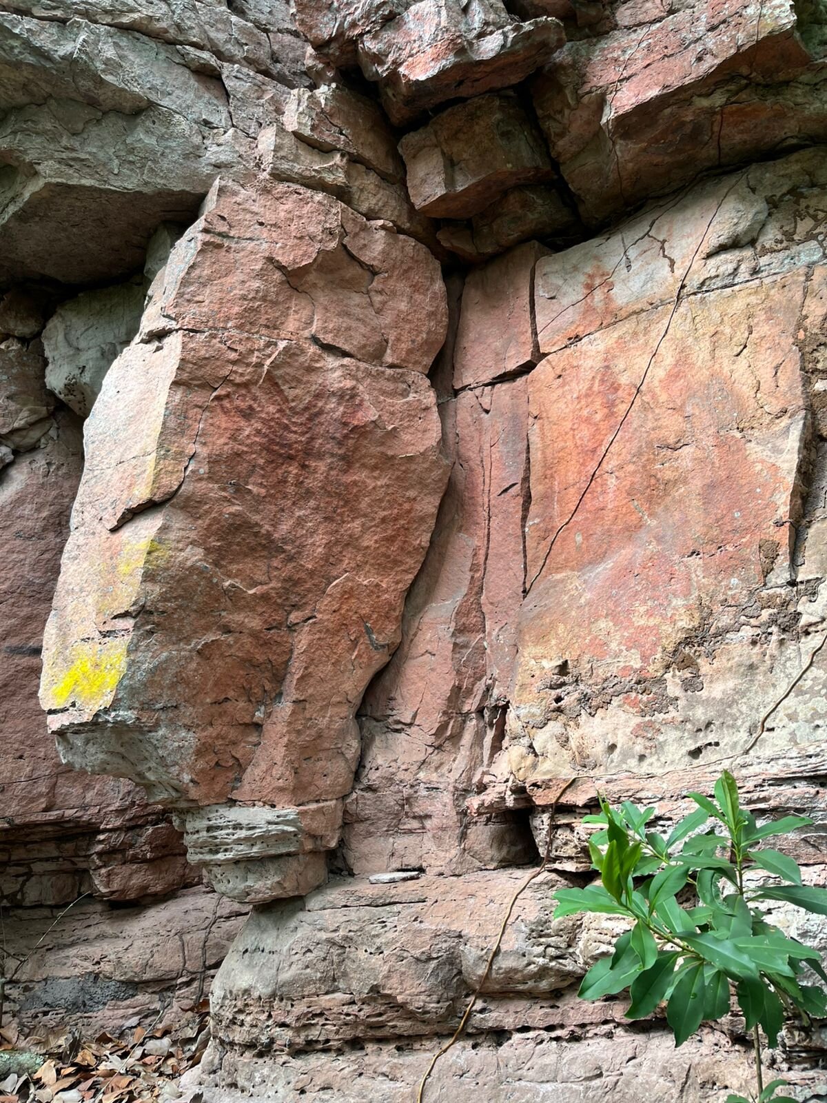 Pousada do Parque-官方