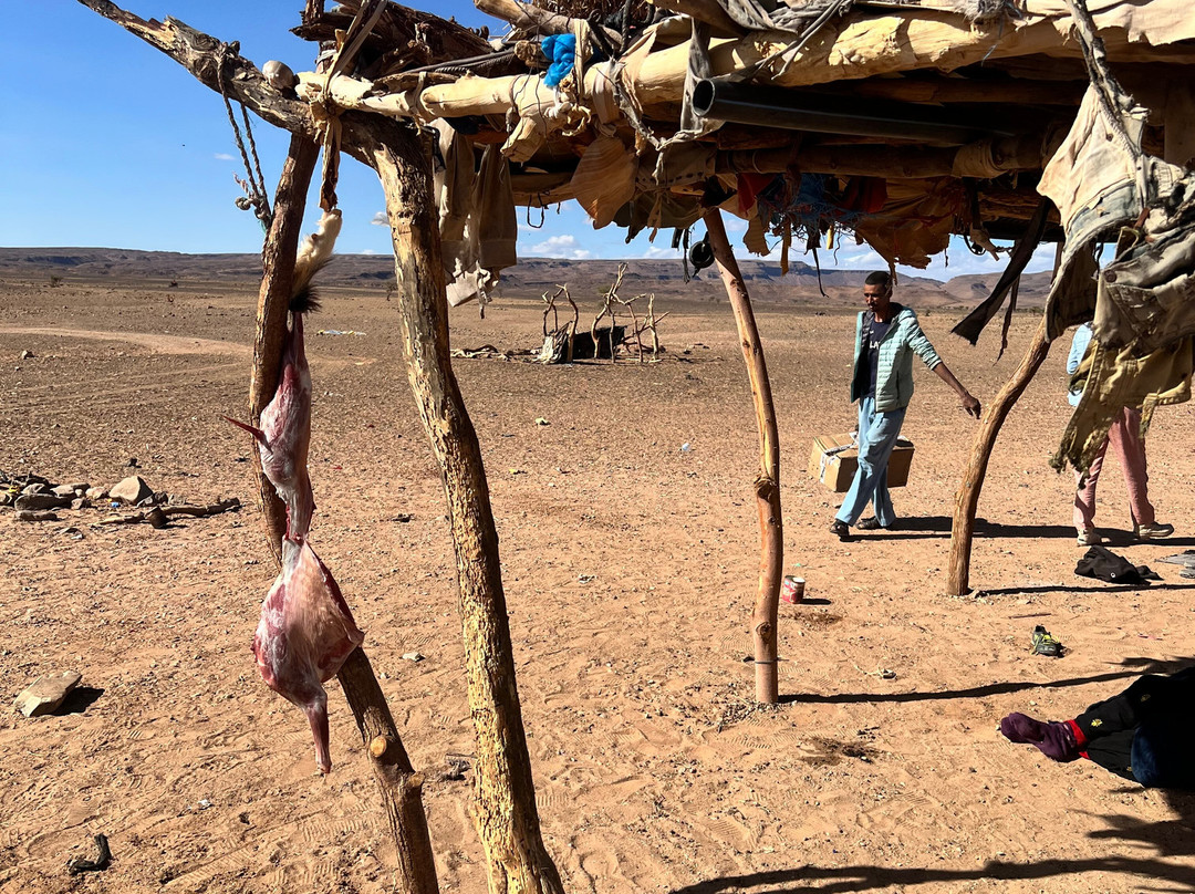 Caravane Renard du Desert-迈哈米德必去景点