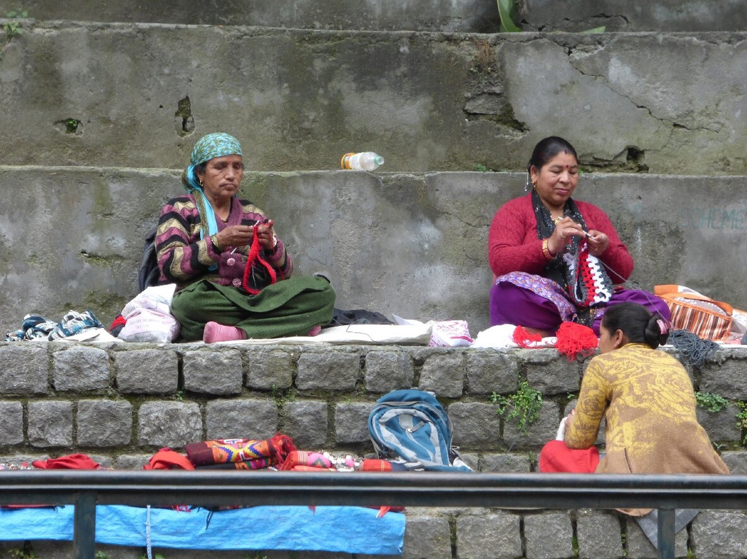 Van Vihar-Manali Tehsil必去景点