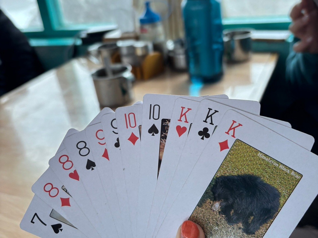 Himalayan Dream Team-加德满都必去景点