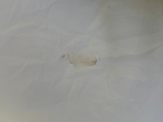 Best Western Brady Inn主图