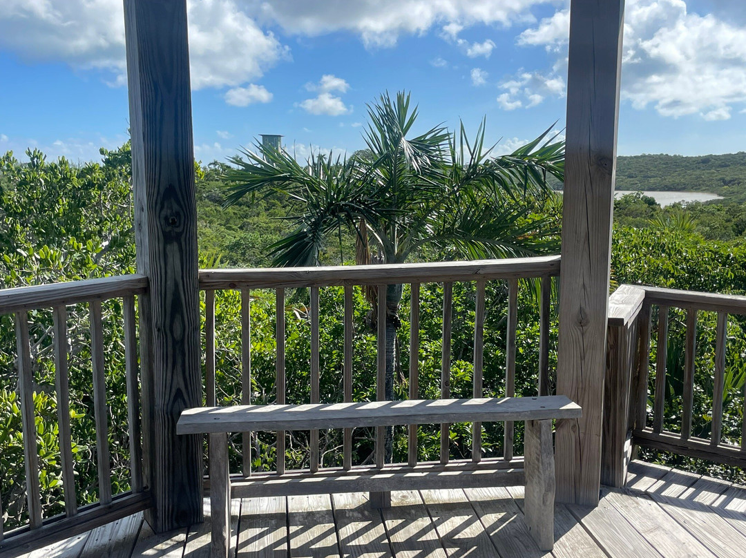 Leon Levy Native Plant Preserve-伊柳塞拉必去景点