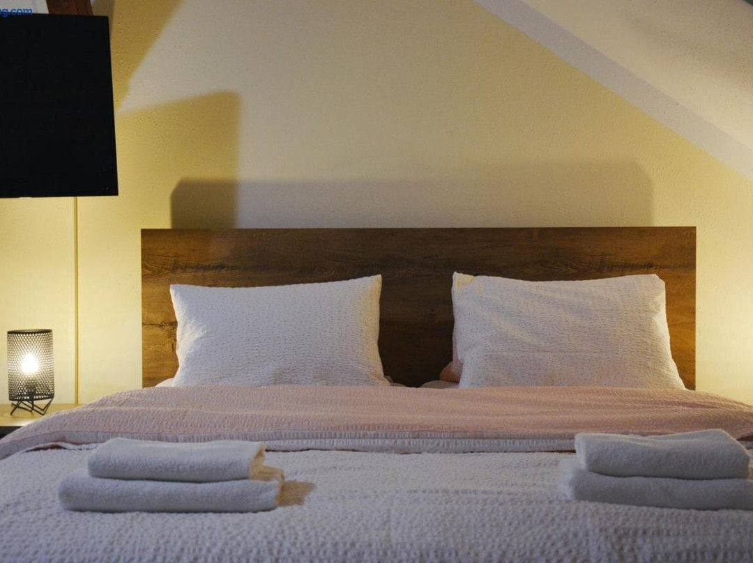 Pluhuv Zdar酒店住宿-Penzion Gentleman