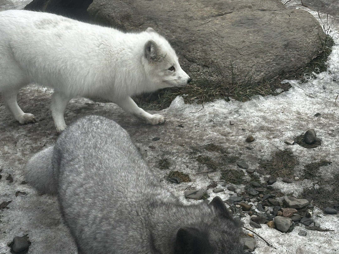 Aquarium du Québec-魁北克市必去景点