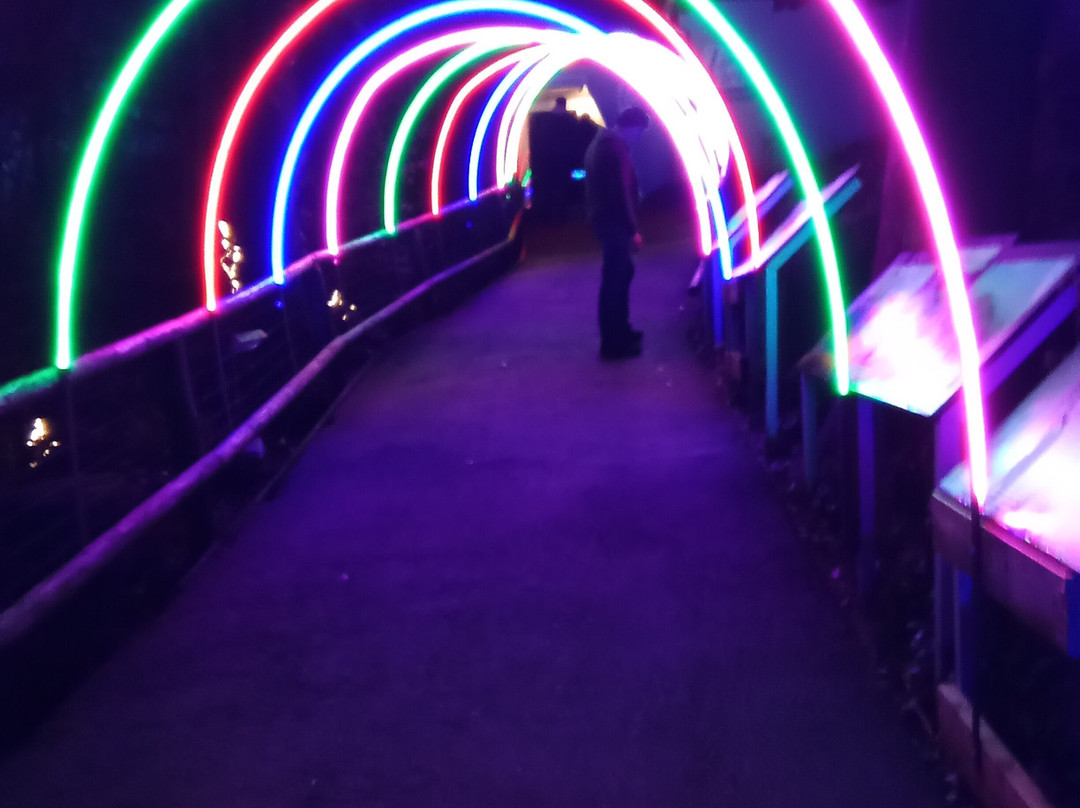 Matlock Bath Illuminations-Matlock Bath必去景点