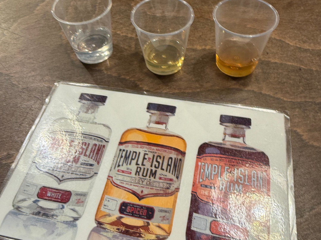 The Henley Distillery Gin Experience-泰晤士河畔亨利必去景点