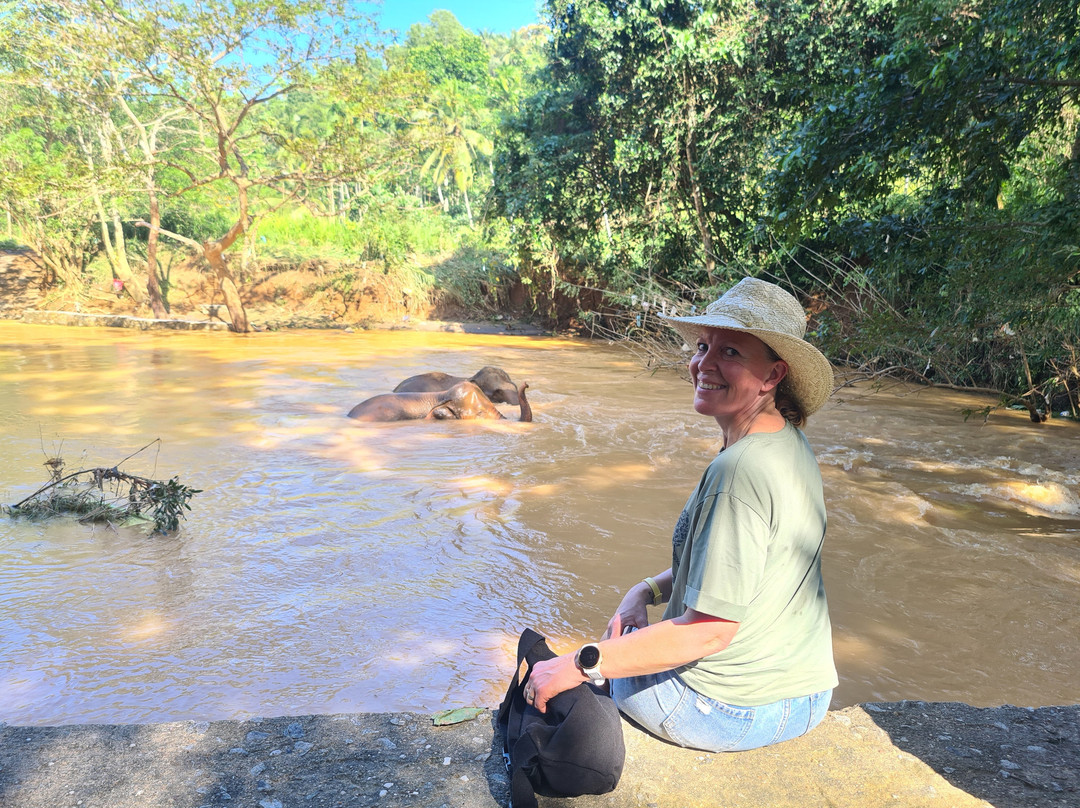 Elephant Freedom Project-凯格勒 必去景点