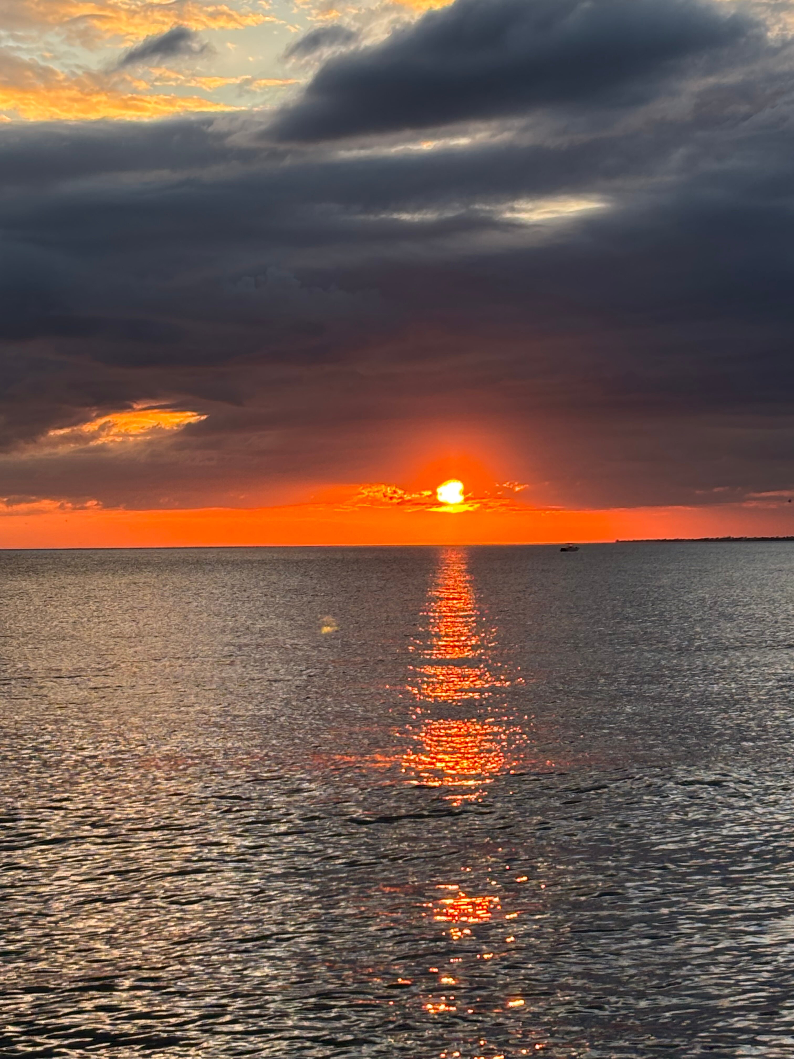 Pink Shell Beach Resort & Marina-官方