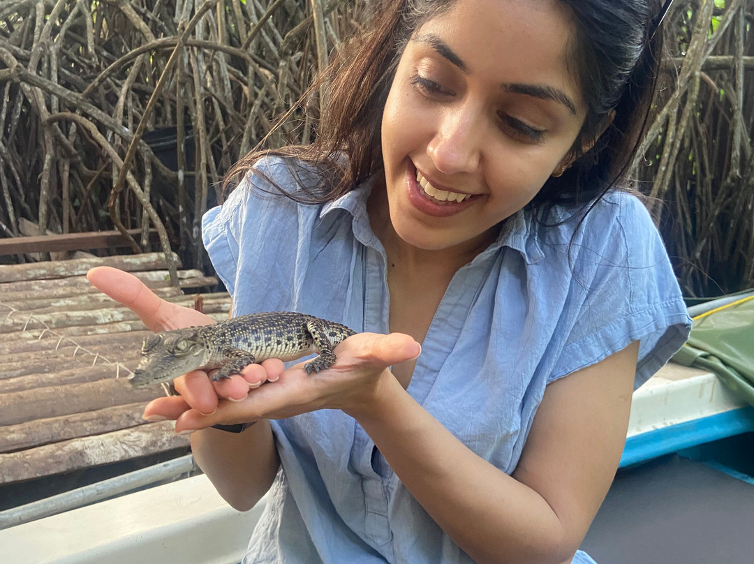 Beruwala Day Tours-贝卢瓦拉必去景点