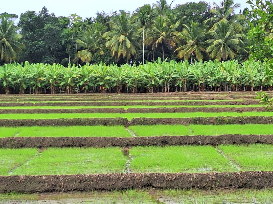 Sampath-Tours-希克杜沃必去景点