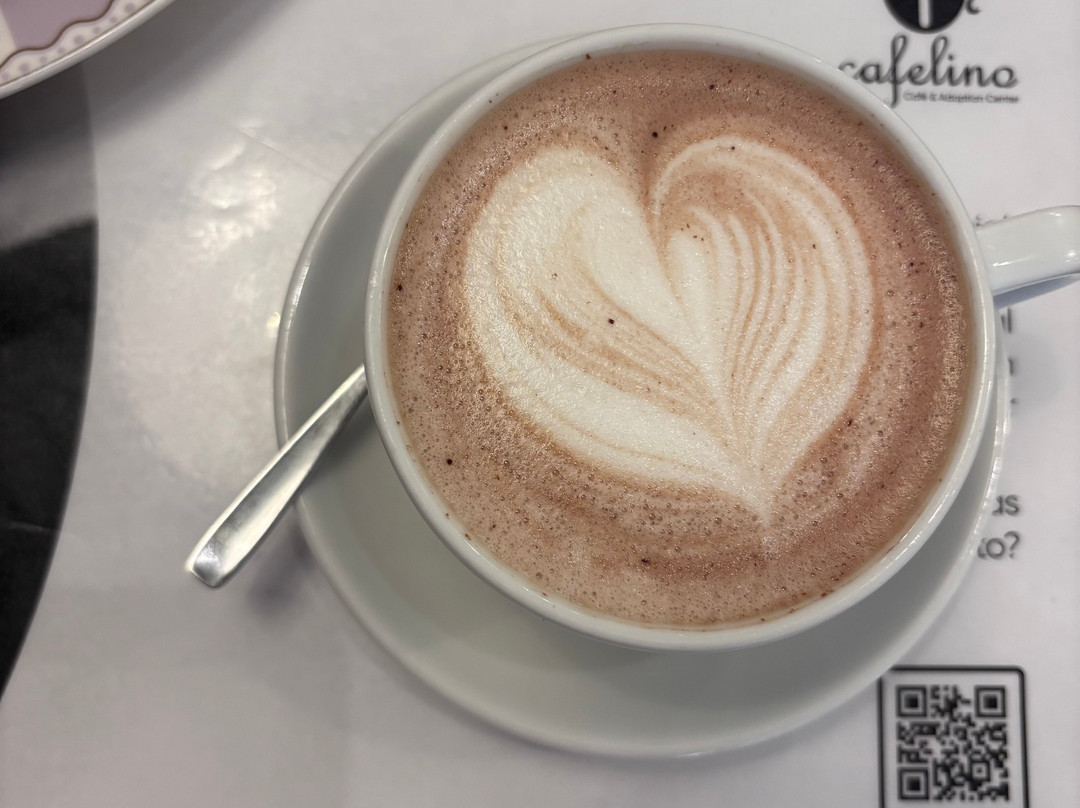 Cafelino Café & Adoption Center