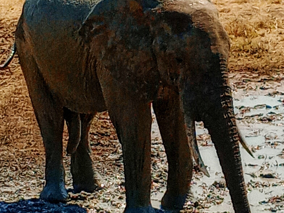 I Viaggi Di Dada Polly-基万嘎必去景点