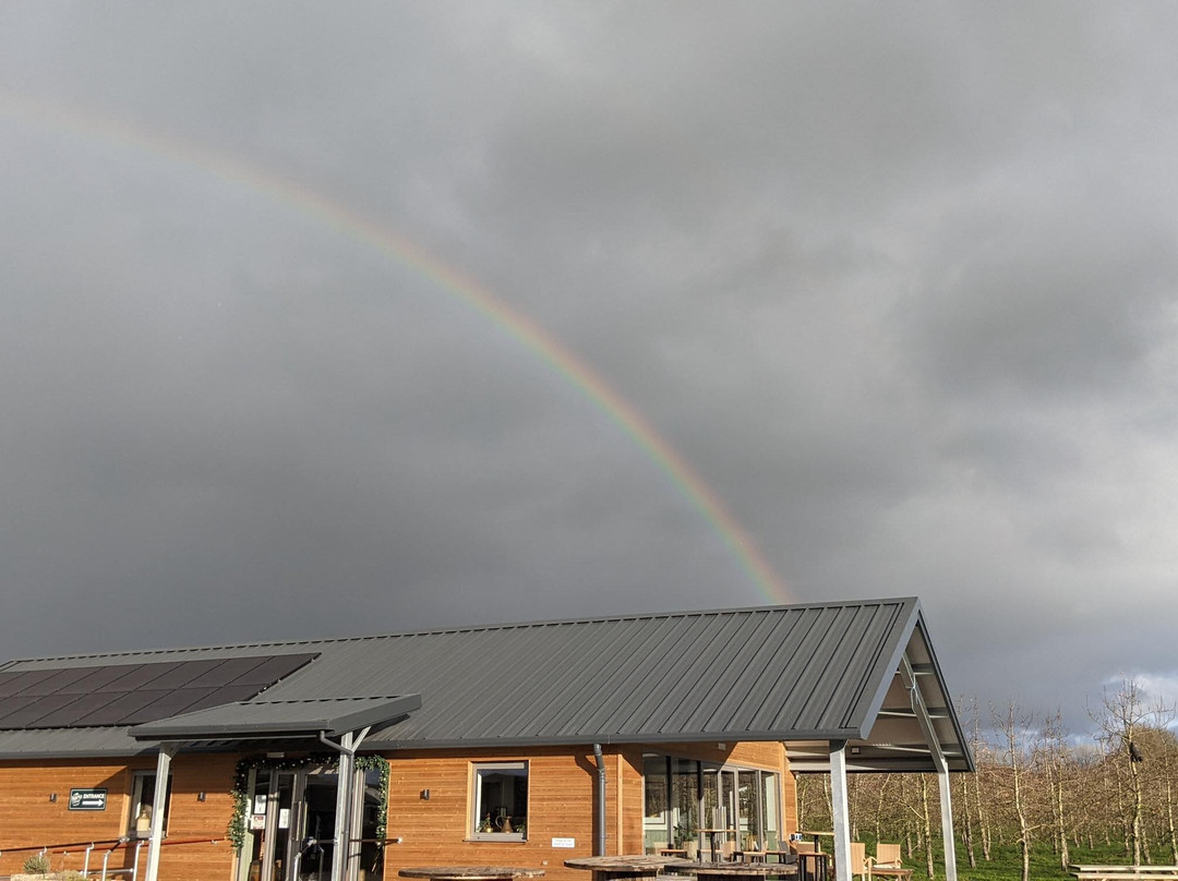 Harrys Cider-Langport必去景点