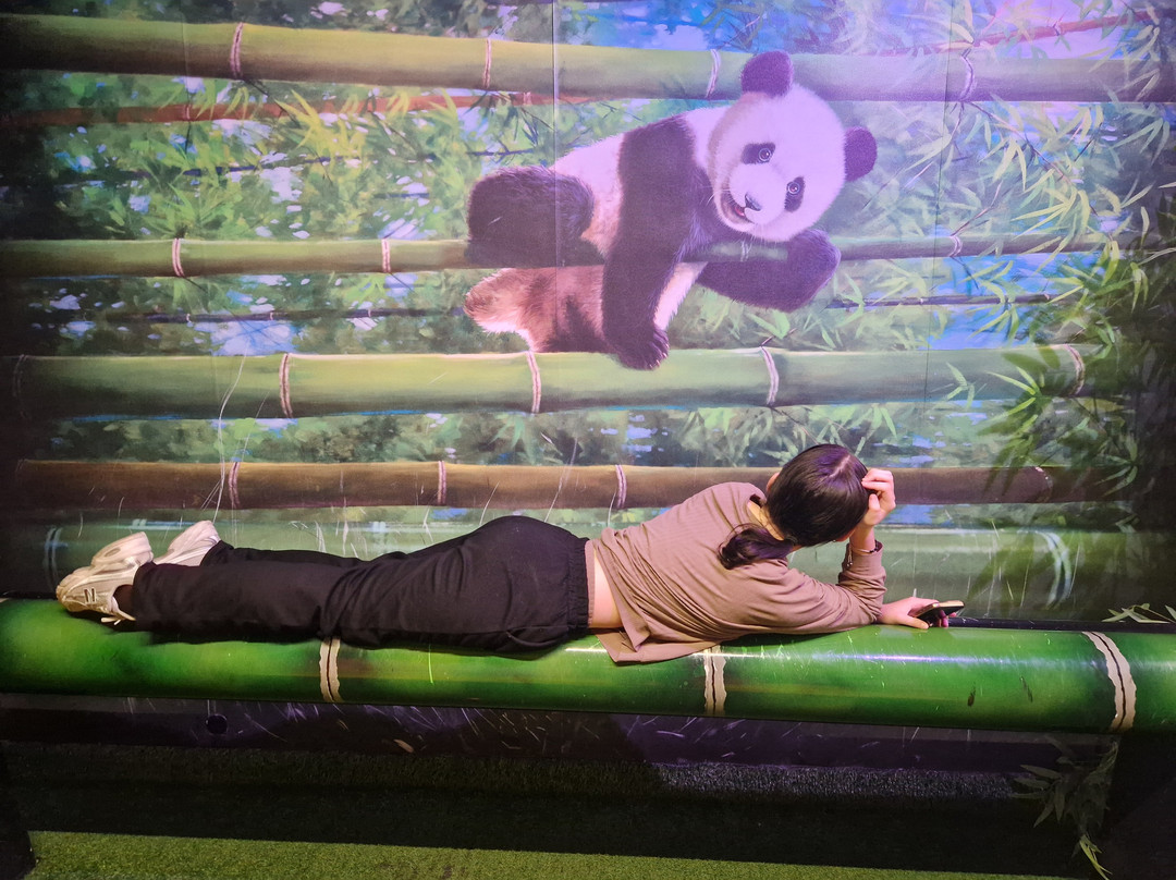 Be Happy Museum Kraków-克拉科夫必去景点