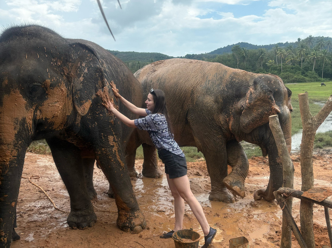 Koh Yao Elephant Beach-阁耀亚伊岛必去景点