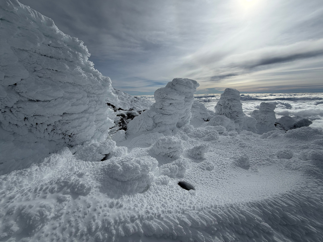 EtNative - Escursioni Guidate sull'Etna-Mascalucia必去景点