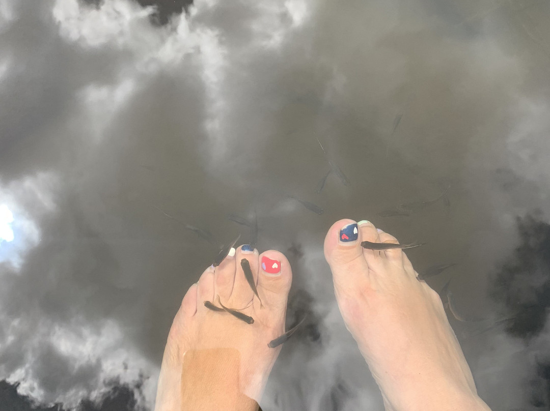 Tamarind Falls-Vacoas-Phoenix必去景点