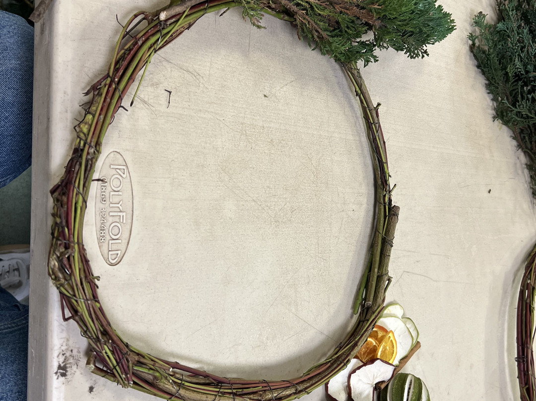 Bromley Parks Environmental Education-奥尔平顿必去景点