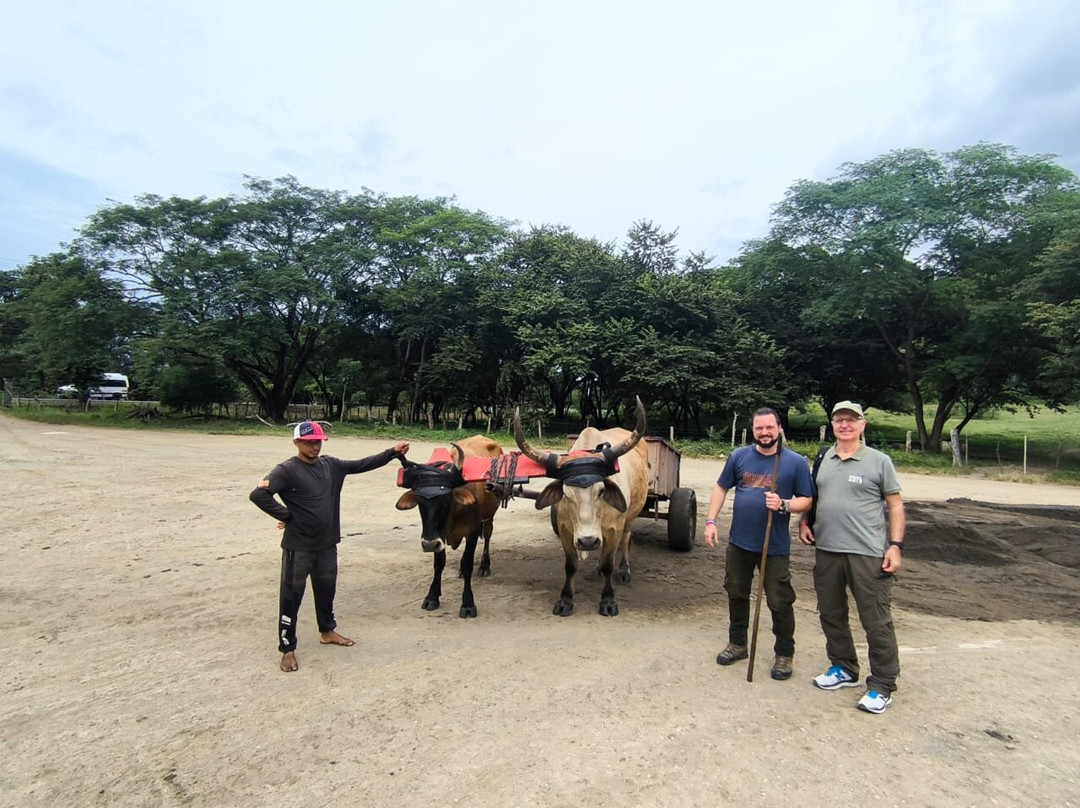Genuine Costa Rica-Playas del Coco必去景点