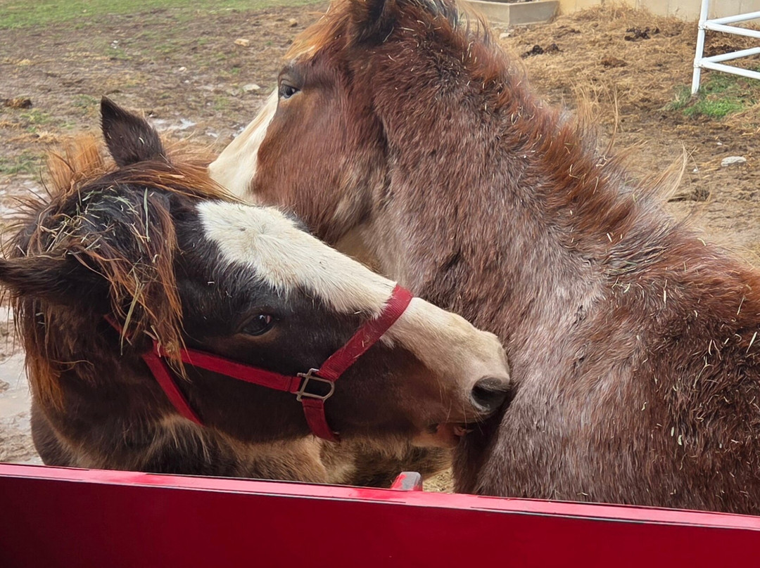 Warm Springs Ranch-Boonville必去景点