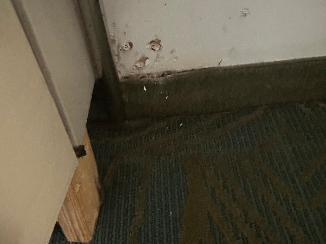 SpringHill Suites by Marriott Houston Sugar Land主图