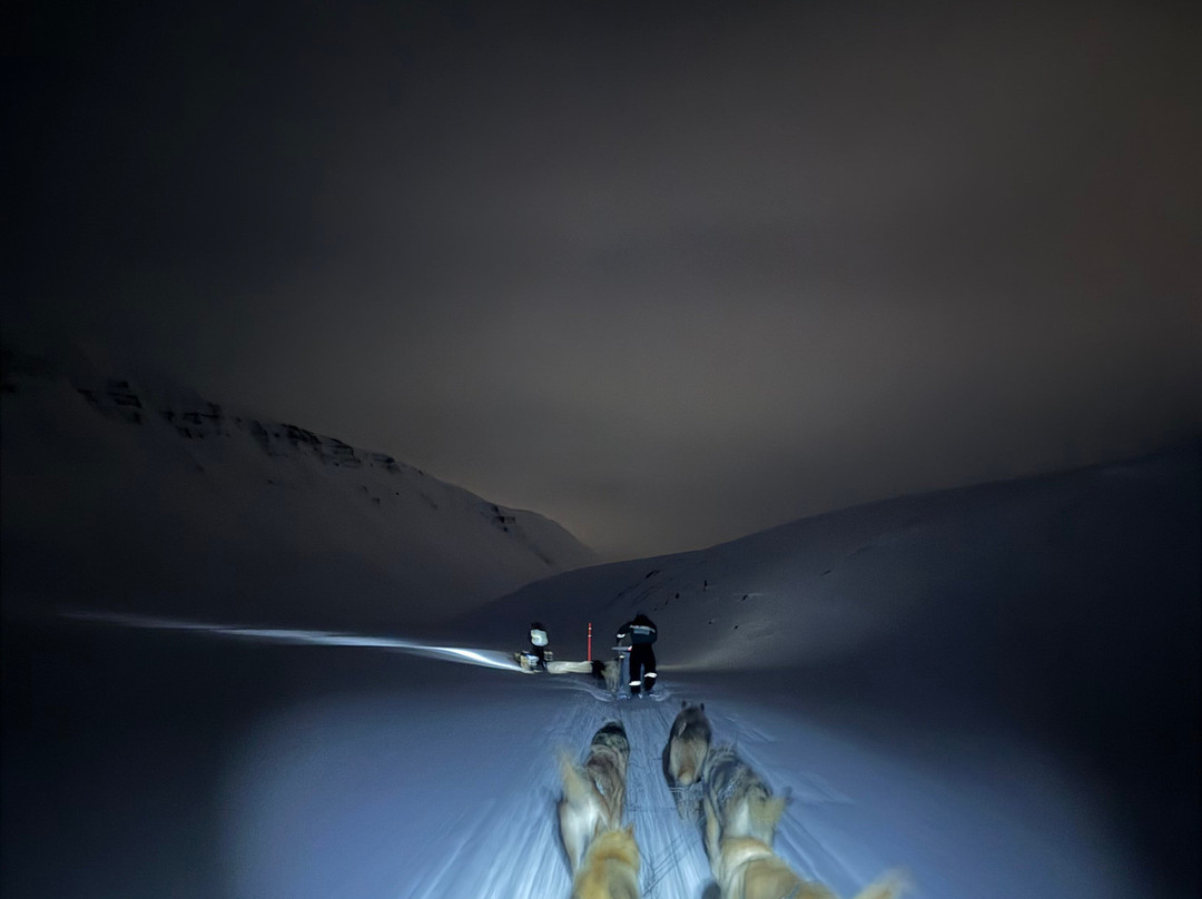 Green Dog Svalbard-朗伊尔城必去景点