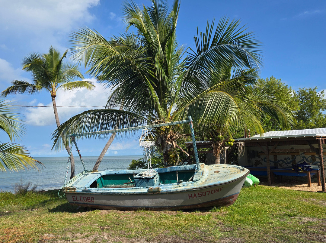 Pigeon Key-马拉松必去景点