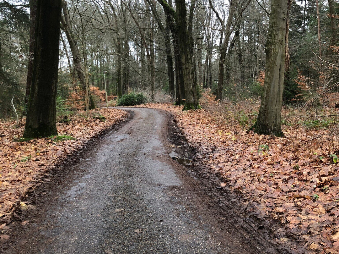 Veluwe Hotel Stakenberg主图