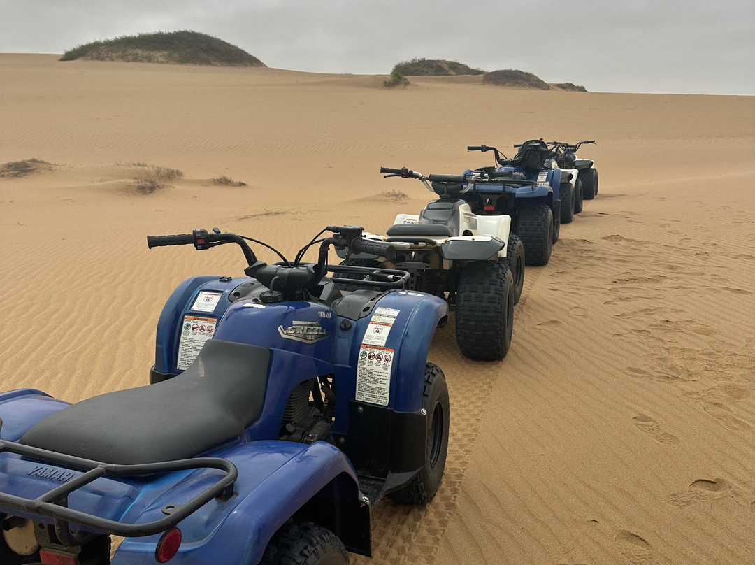 Kuiseb Delta Adventures-华维斯湾必去景点