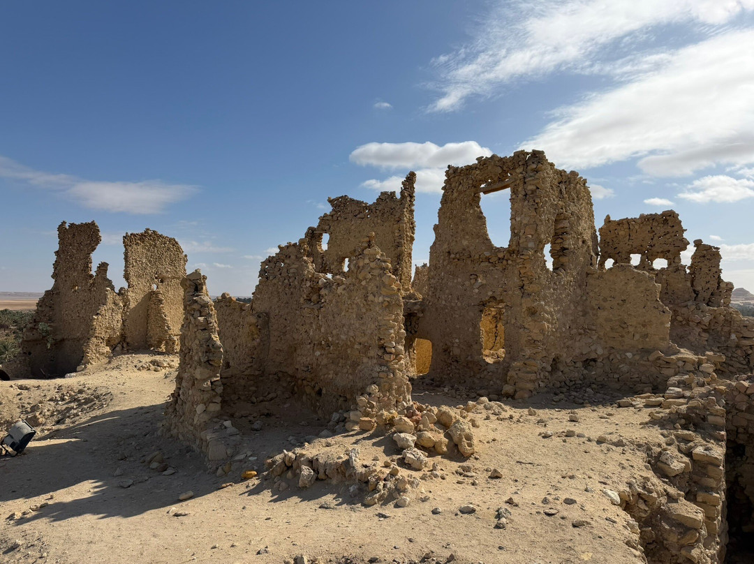 Amico Excursions-赫尔格达必去景点