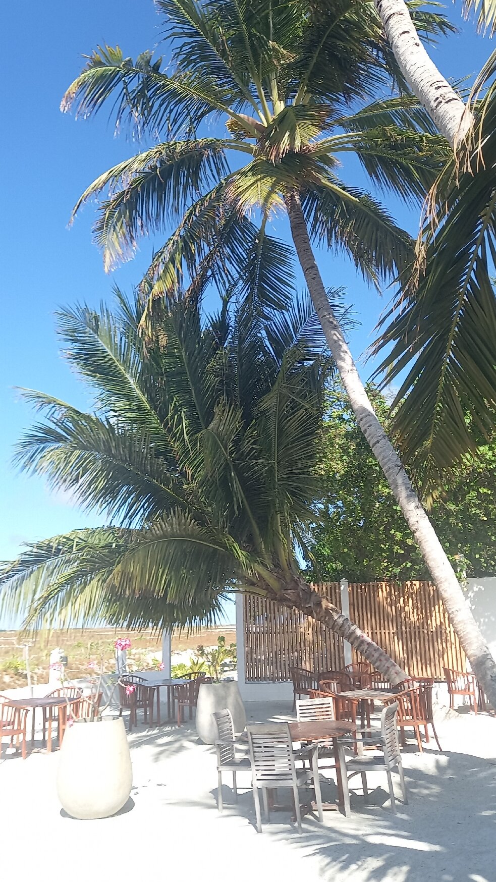 Wave Sound by 3S Maldives-官方