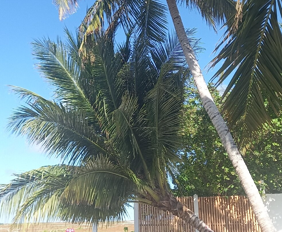 Wave Sound by 3S Maldives主图